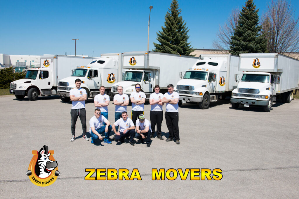 Zebra Movers - best movers in Barrie